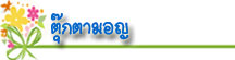 thaibestname.com บริการ ตั้งชื่อ เปลี่ยนชื่อ ตั้งชื่อมงคล วิเคราะห์ชื่อ ตั้งชื่อลูกตามวันเกิด